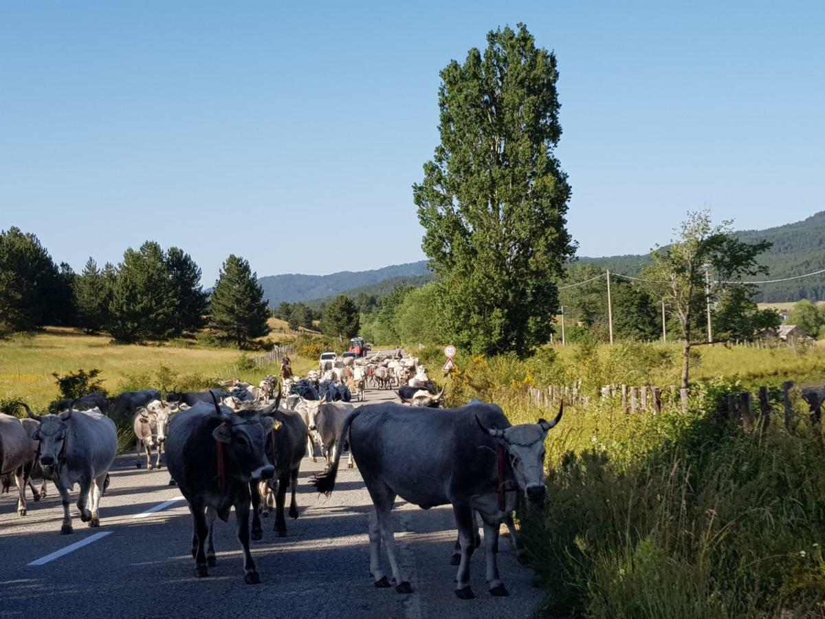Lorica Suite Lago Eksteriør bilde